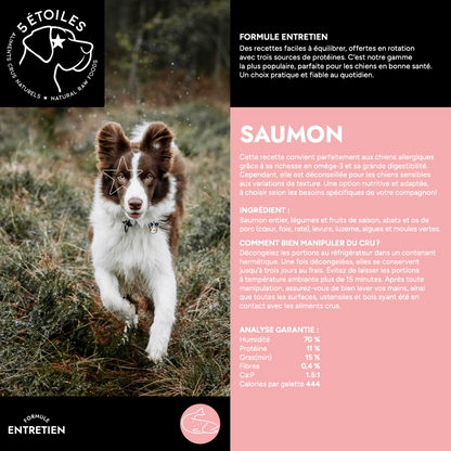 Aliments 5 Etoiles entretien saumon 9 lbs