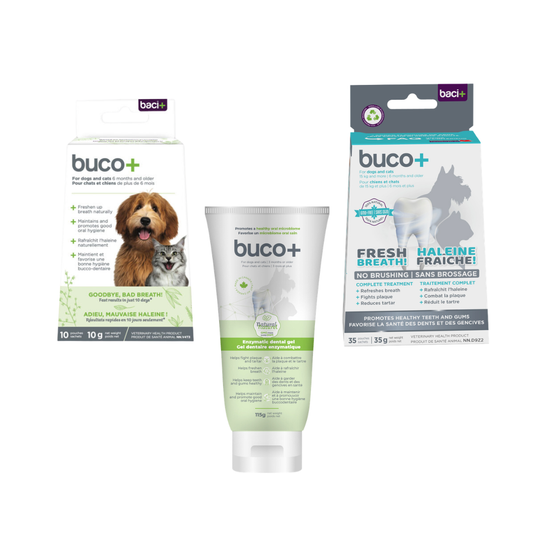 BACI+ | BUCO+ Boîte découverte 15kg-