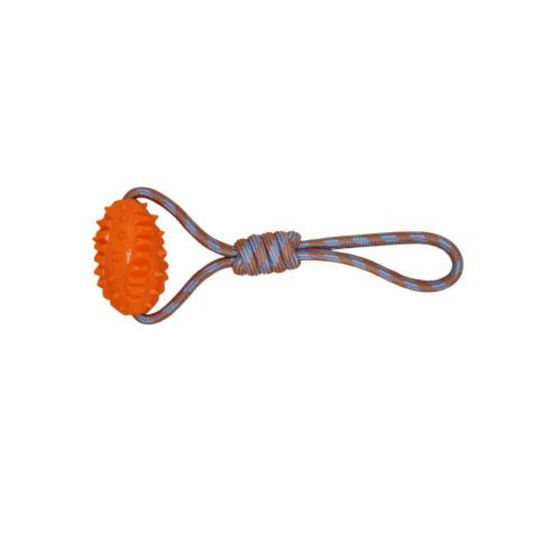 BUD'Z | Jouet de corde flottante ballon de football