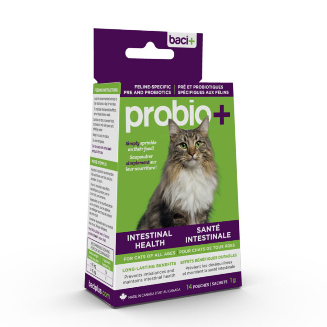 Baci+ Probio+ chat probiotiques