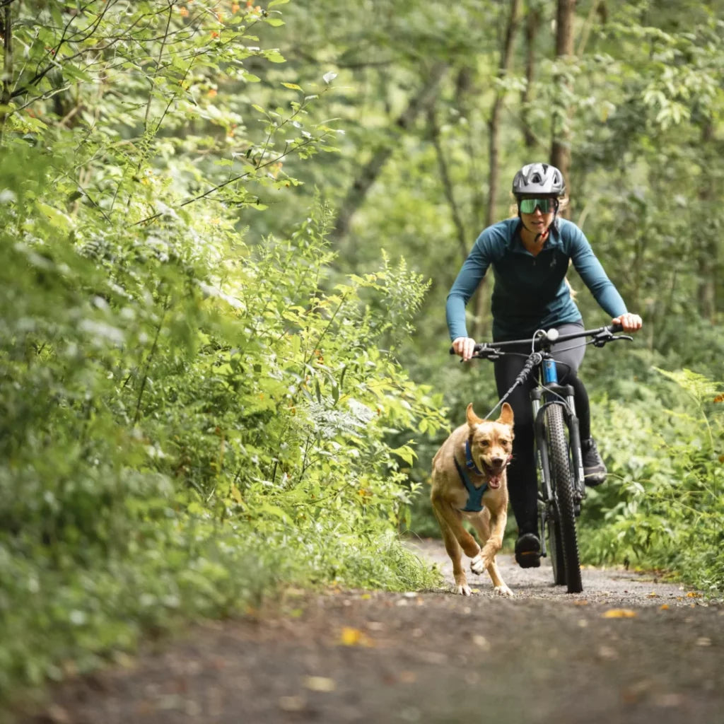 NAHAK | Ligne bungee pour bikejoring 5/8