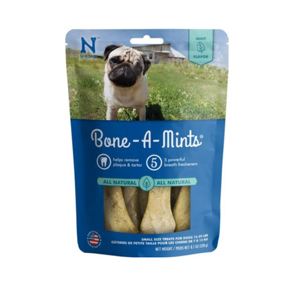 Bone-a-mint petit chien