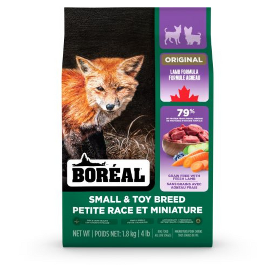 Boréal petite race agneau