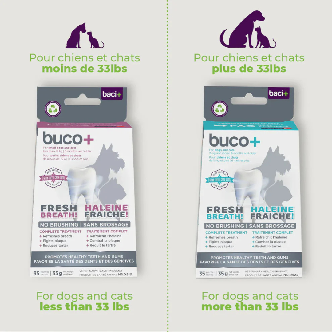 Buco+ soins dentaires chien et chat