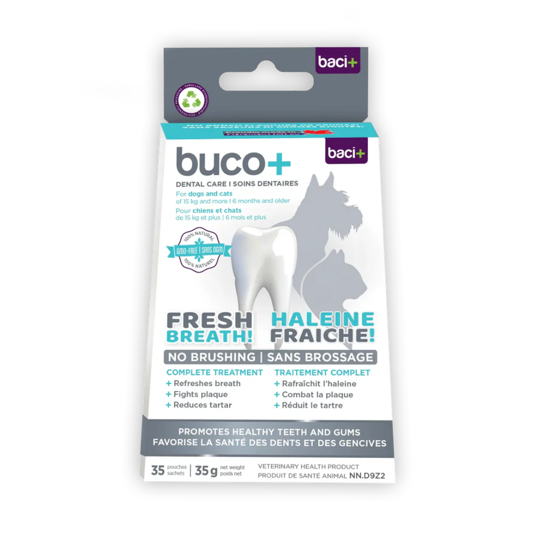 Buco+ soins dentaires grand chien