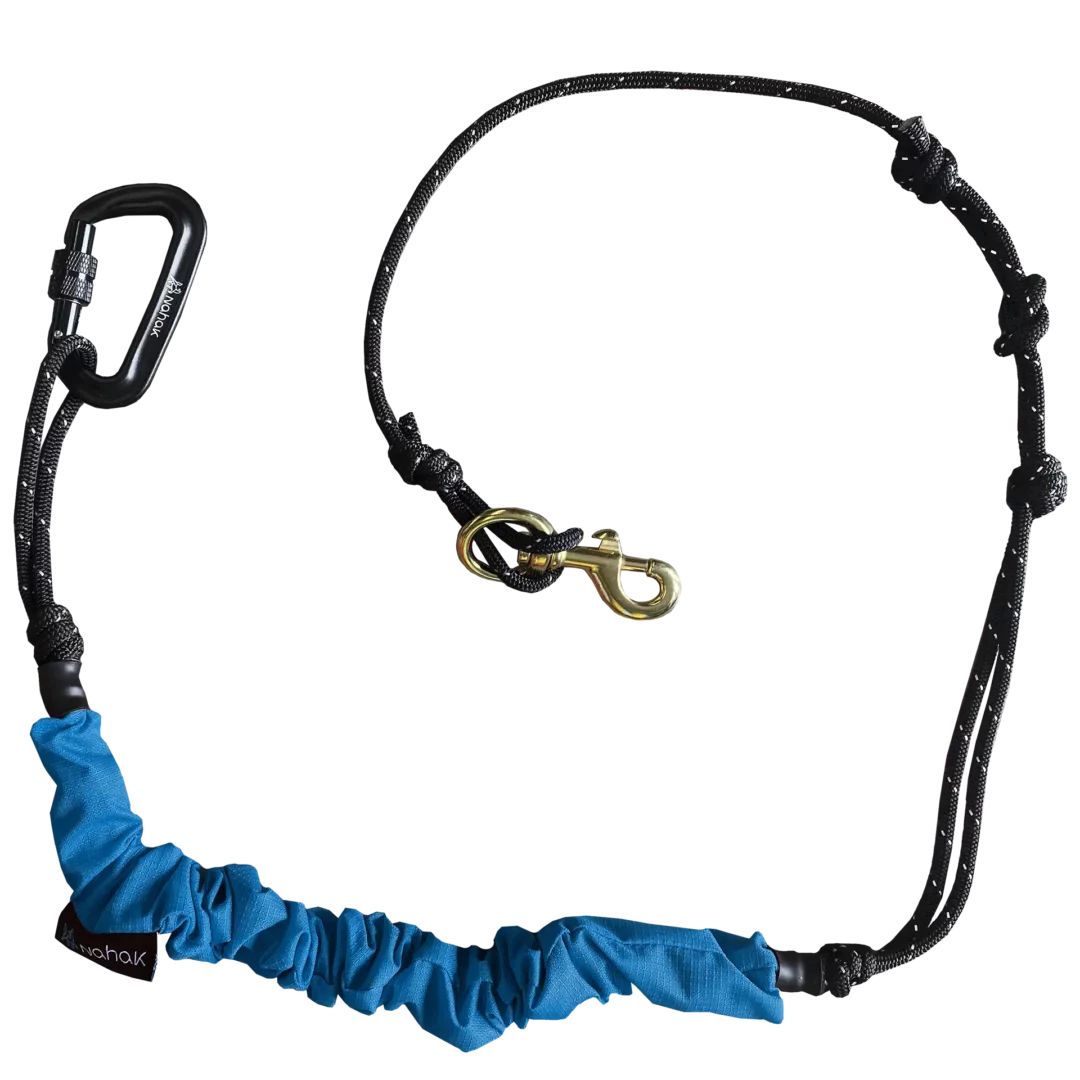 NAHAK | Ligne bungee multisports aqua pour chien. Nature Animale, votre référence en alimentation animale à Mascouche.