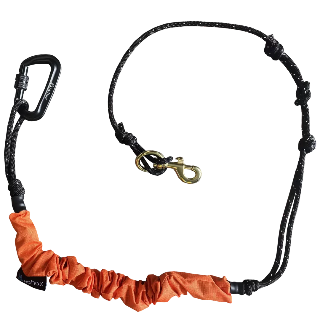 NAHAK | Ligne bungee multisports orange pour chien. Nature Animale, votre référence en alimentation animale à Mascouche.