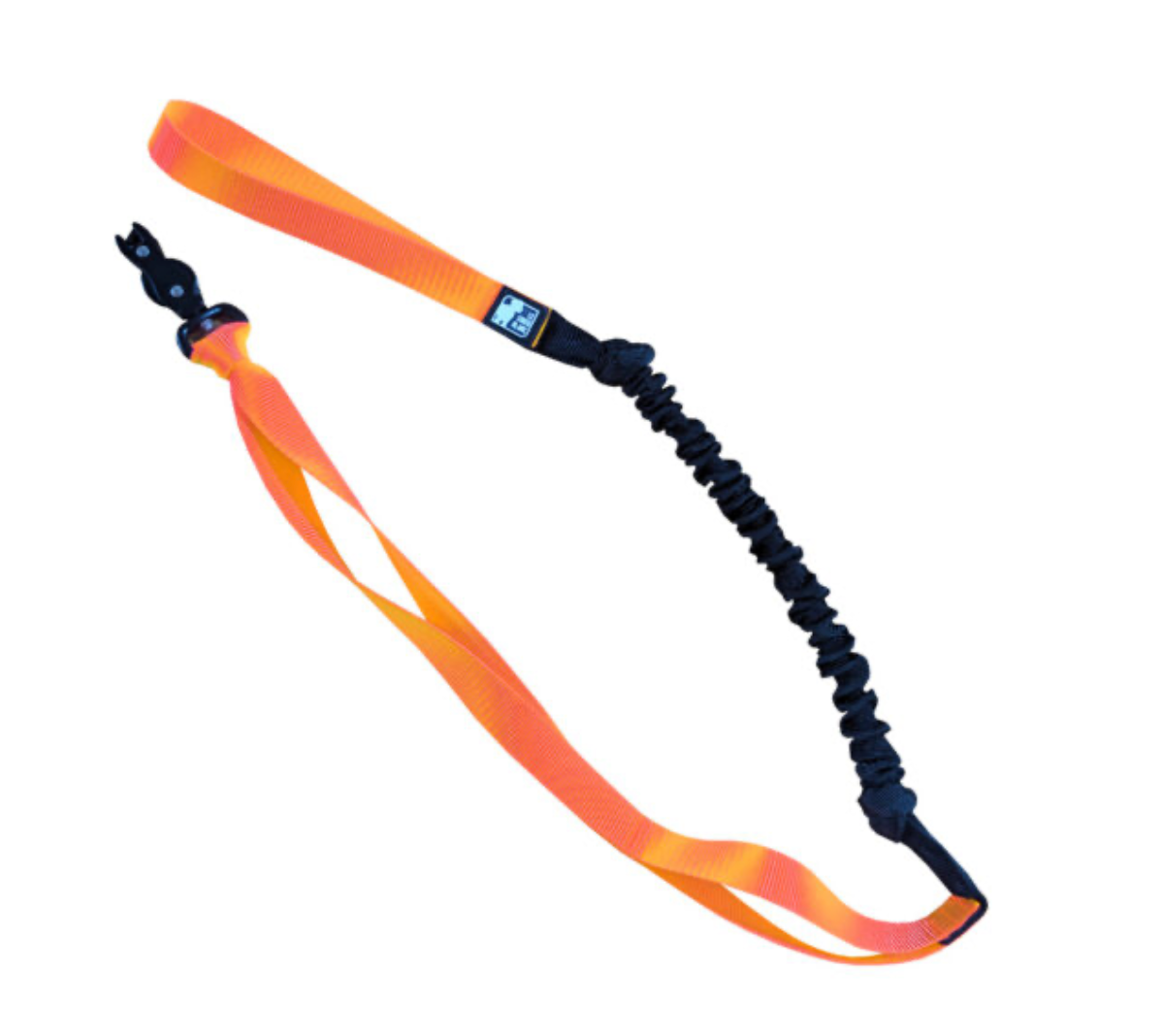 LE CHIEN BLANC | Bungee canicross