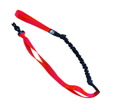 LE CHIEN BLANC | Bungee canicross