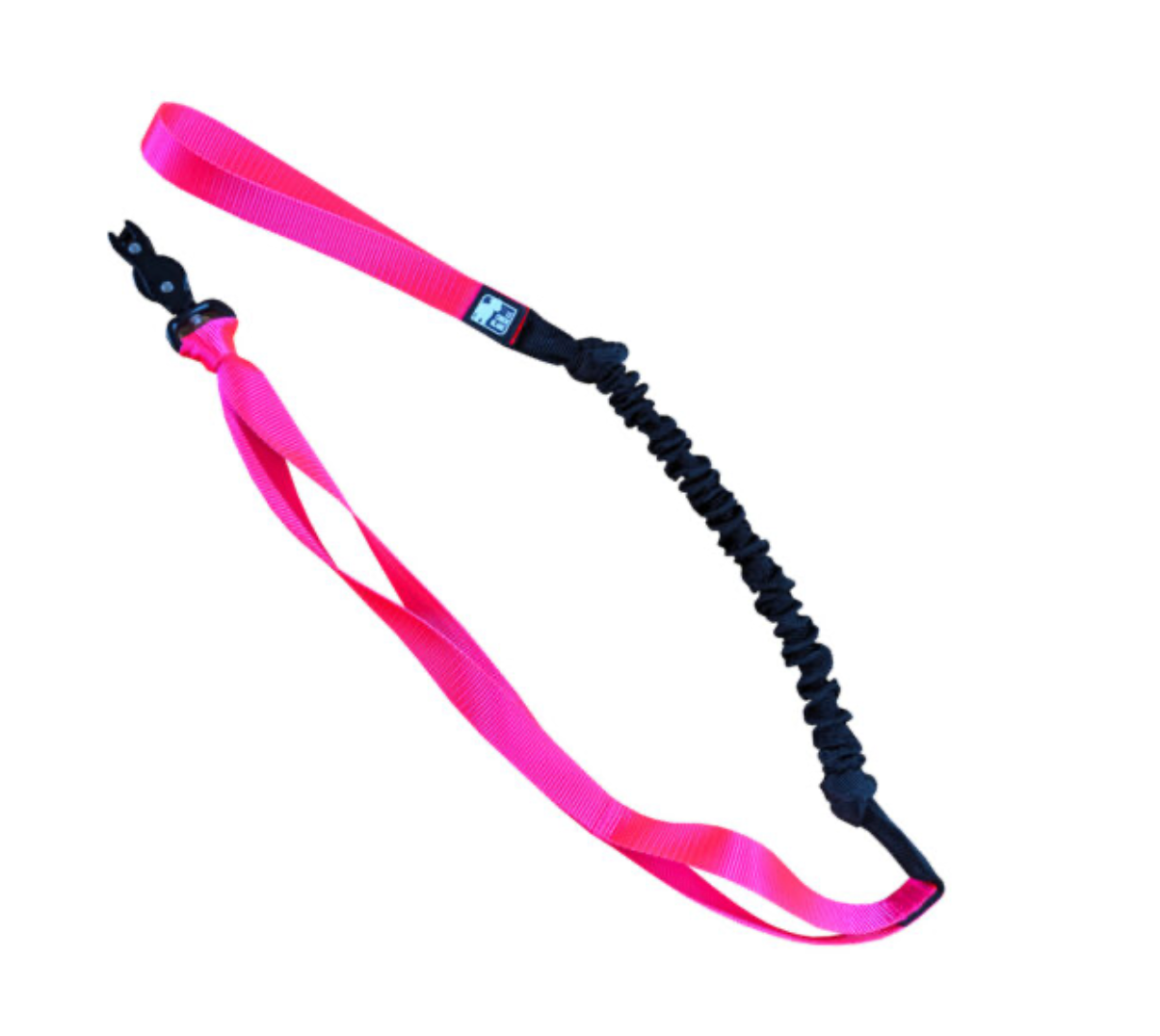 LE CHIEN BLANC | Bungee canicross
