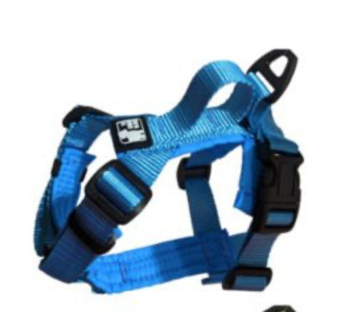 LE CHIEN BLANC | Harnais aqua pour chiens mini. Nature Animale, votre référence en alimentation animale et sport canin à Mascouche.