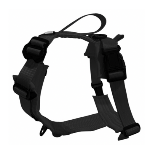 LE CHIEN BLANC | Harnais Horizon