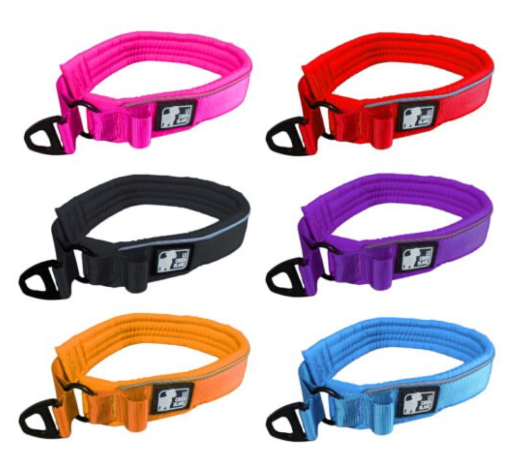 LE CHIEN BLANC | Collier rembourré martingale