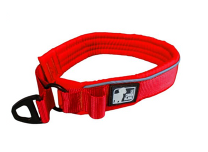 LE CHIEN BLANC | Collier rembourré martingale