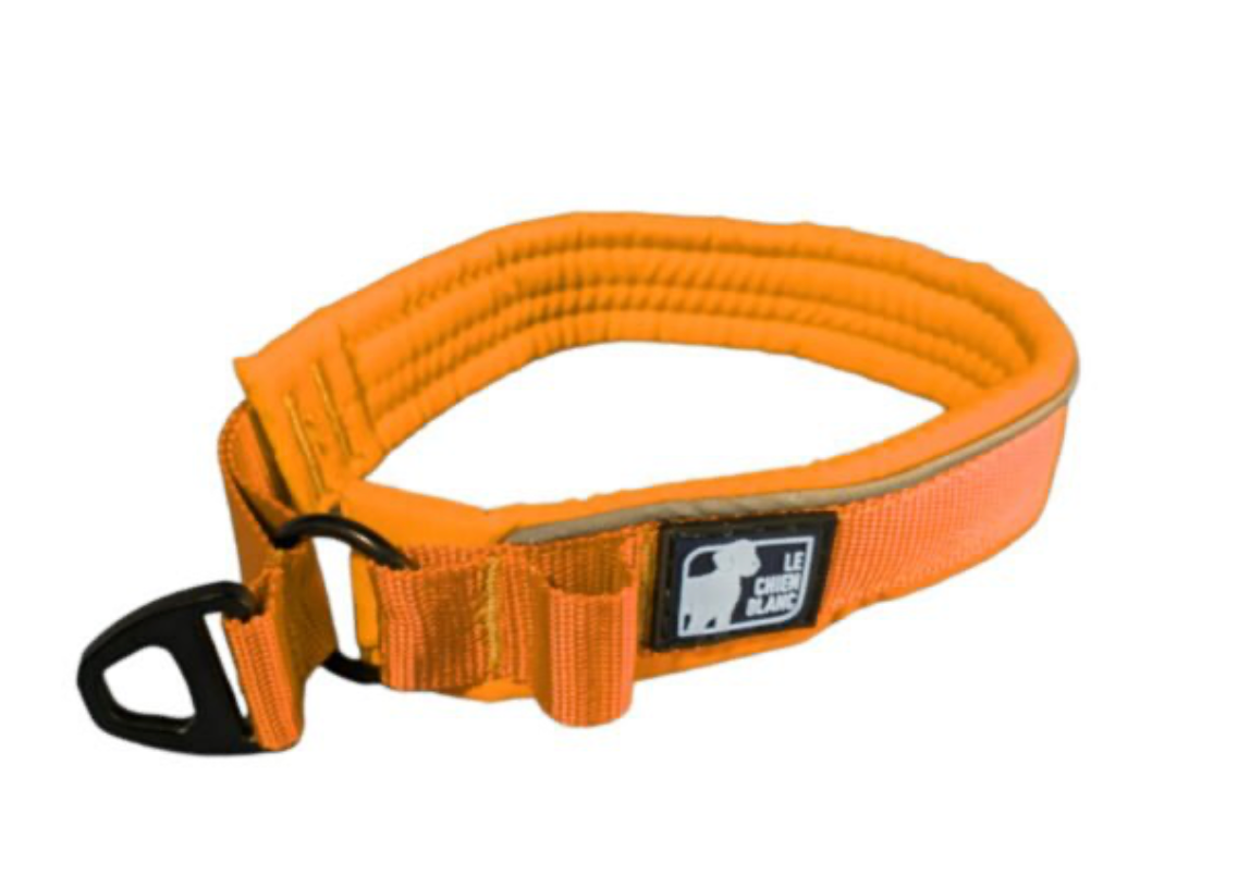 LE CHIEN BLANC | Collier rembourré martingale