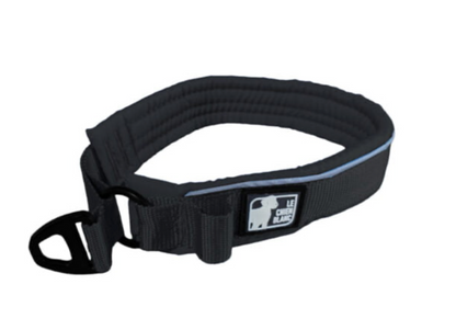 LE CHIEN BLANC | Collier rembourré martingale