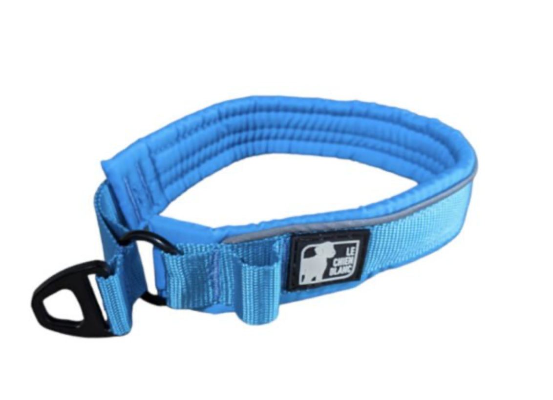 LE CHIEN BLANC | Collier rembourré martingale