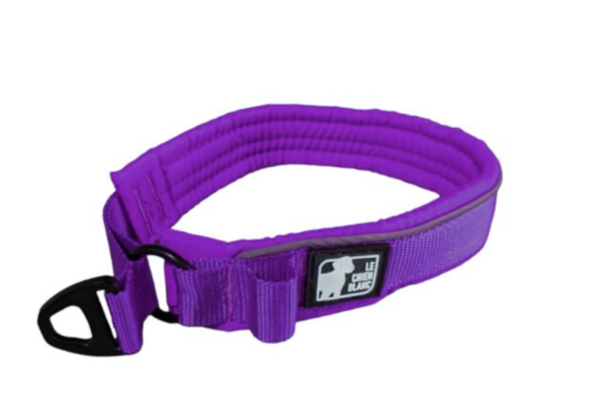LE CHIEN BLANC | Collier rembourré martingale