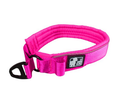 LE CHIEN BLANC | Collier rembourré martingale