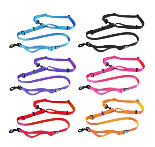 LE CHIEN BLANC | Laisse multi fonctions