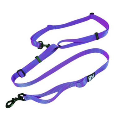 LE CHIEN BLANC | Laisse multi fonctions