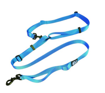 LE CHIEN BLANC | Laisse multi fonctions
