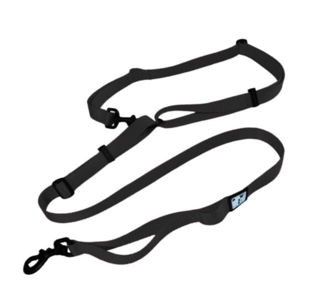 LE CHIEN BLANC | Laisse multi fonctions