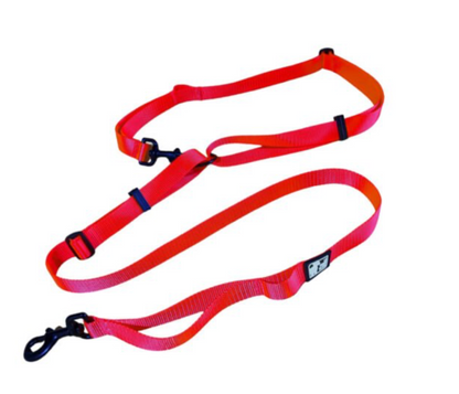 LE CHIEN BLANC | Laisse multi fonctions