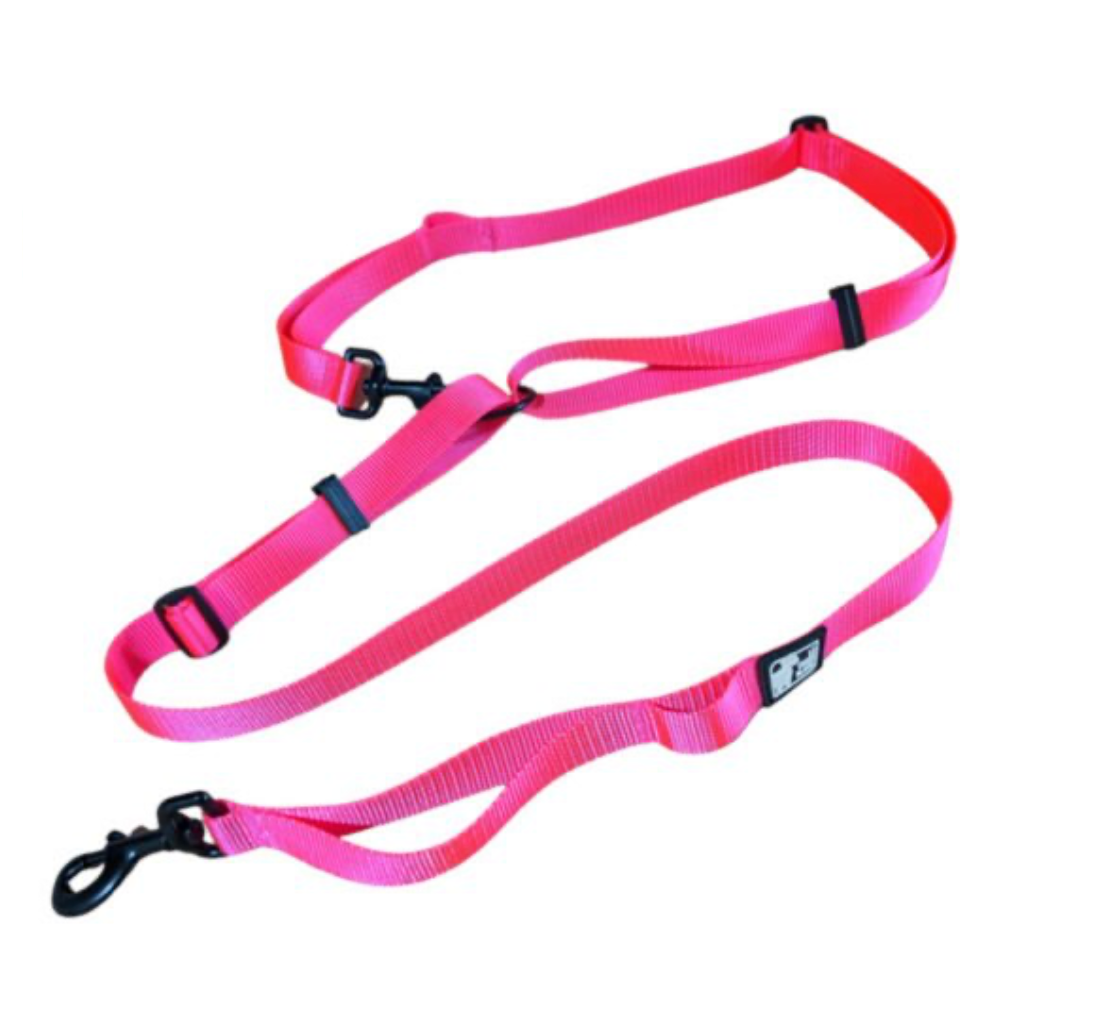 LE CHIEN BLANC | Laisse multi fonctions