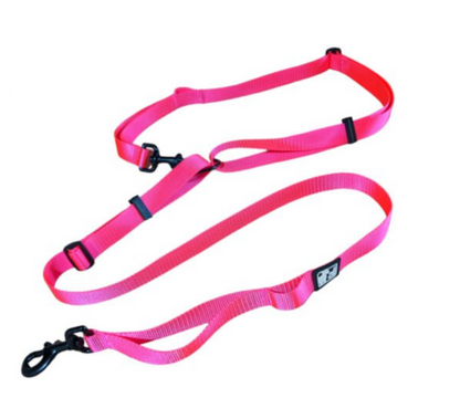 LE CHIEN BLANC | Laisse multi fonctions