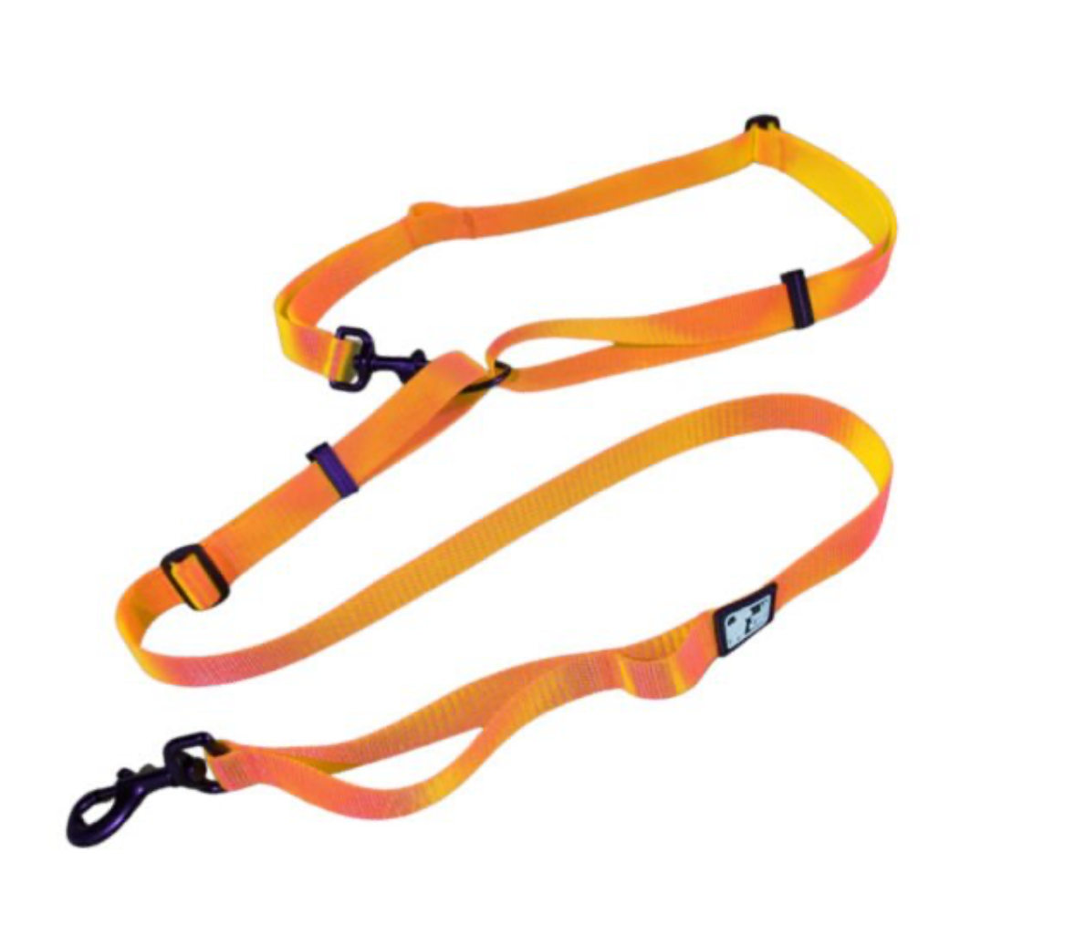 LE CHIEN BLANC | Laisse multi fonctions