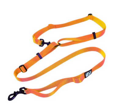 LE CHIEN BLANC | Laisse multi fonctions