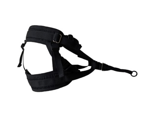 LE CHIEN BLANC | Ceinture Série pro. Nature Animale, votre référence en alimentation animale à Mascouche.