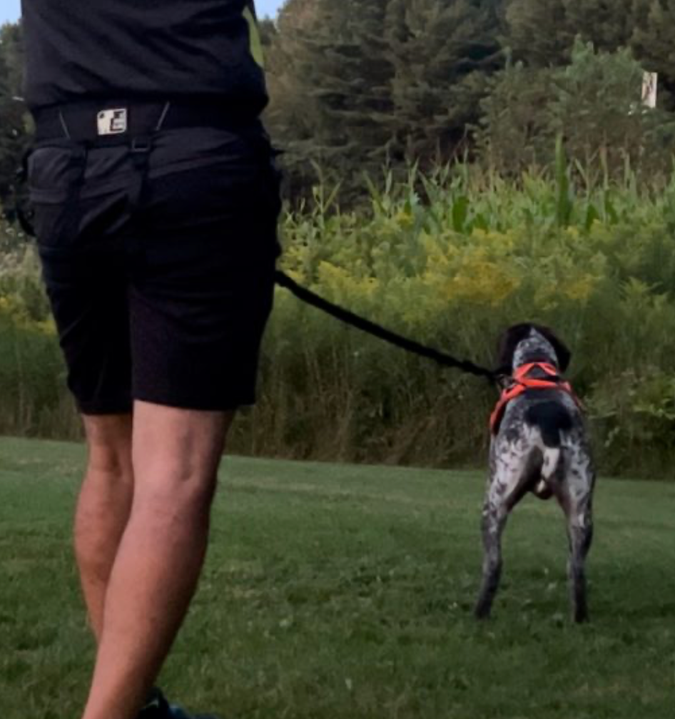 LE CHIEN BLANC | Ceinture Série pro