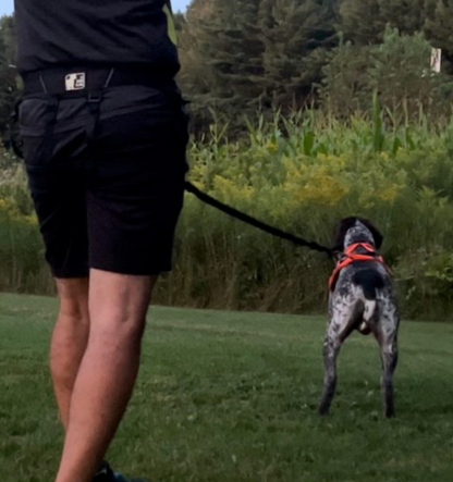 LE CHIEN BLANC | Ceinture Série pro