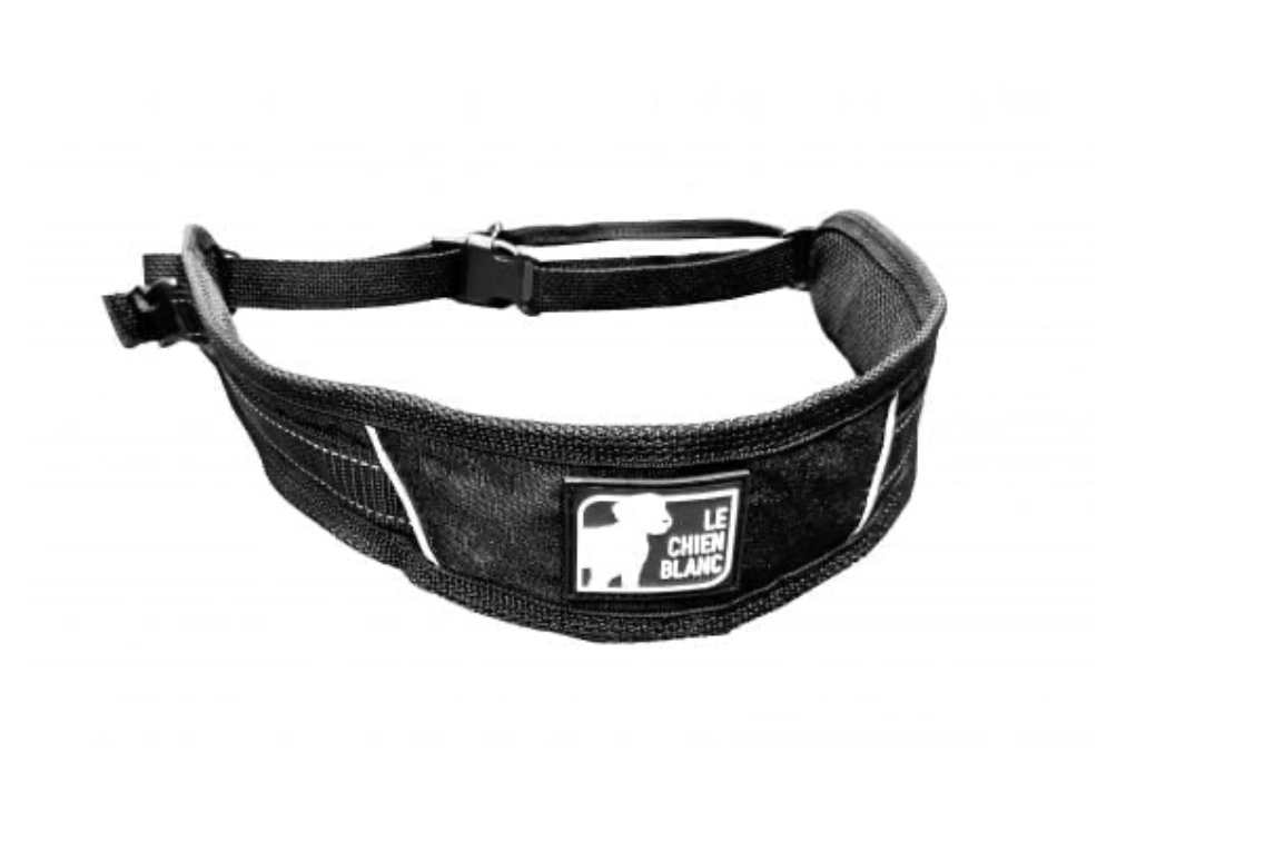 LE CHIEN BLANC | Ceinture Liberty. Nature Animale, votre référence en alimentation animale à Mascouche.