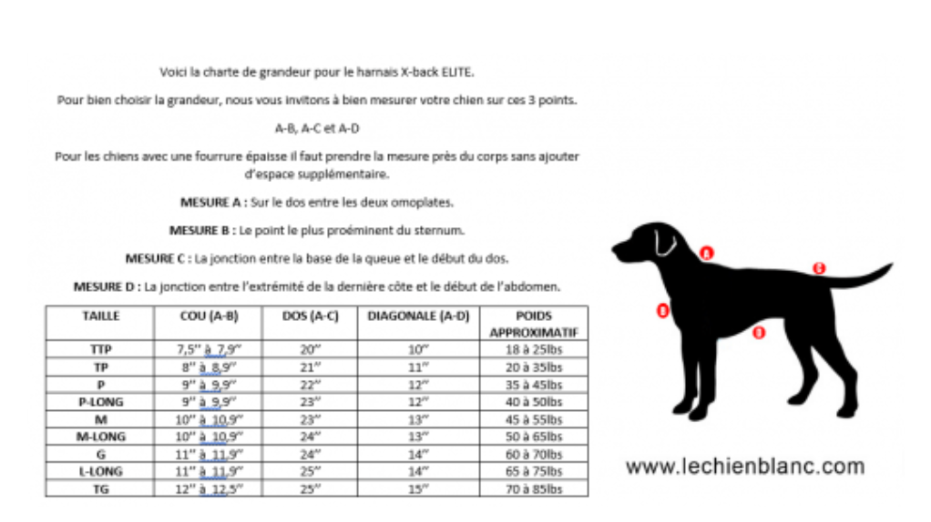LE CHIEN BLANC | Harnais de traction Elite