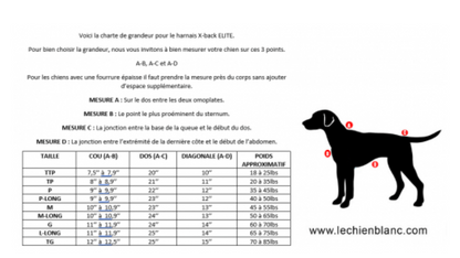 LE CHIEN BLANC | Harnais de traction Elite