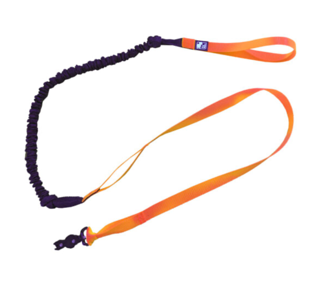 LE CHIEN BLANC | Bungee BST (Bikejoring, Skijoring, Trekking)
