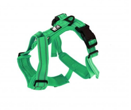 LE CHIEN BLANC | Harnais Charlie XL vert