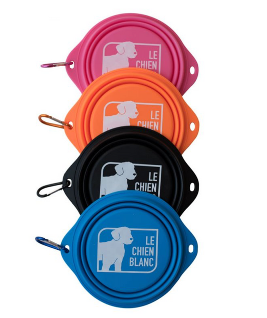 LE CHIEN BLANC | Gus bol rétractable