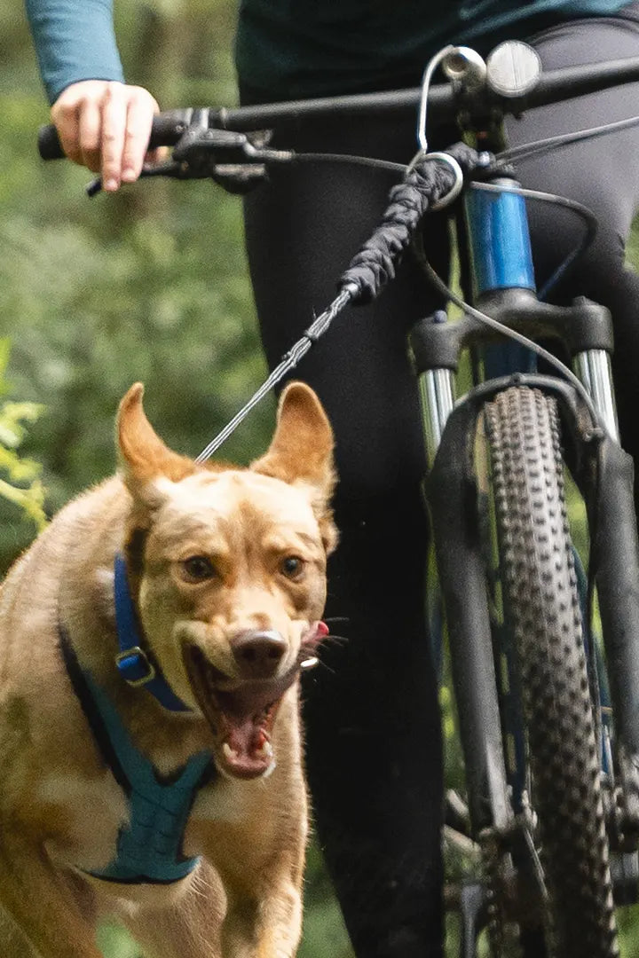 NAHAK | Ligne bungee pour bikejoring 5/8