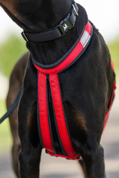 NAHAK | Harnais hybride