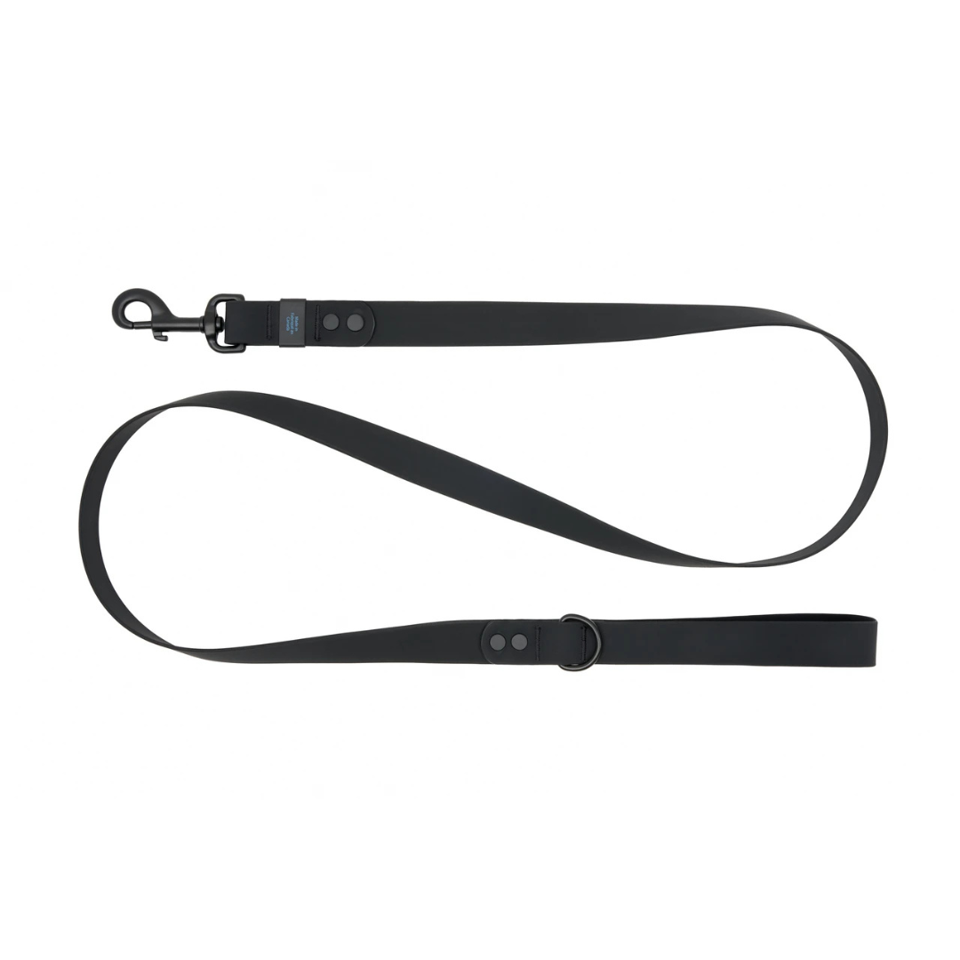 RC PETS | Laisse imperméable
