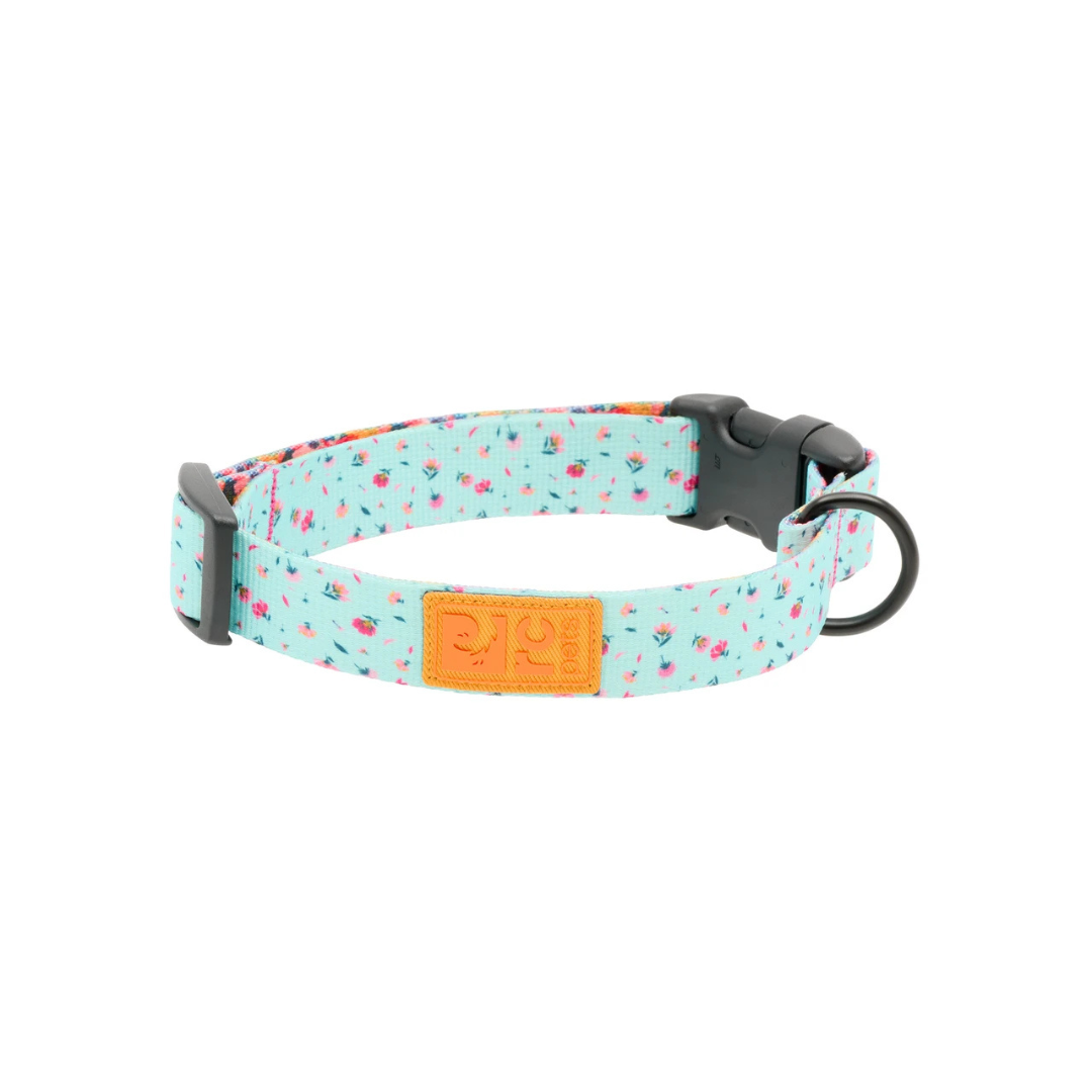 RC PETS | Collier Eco