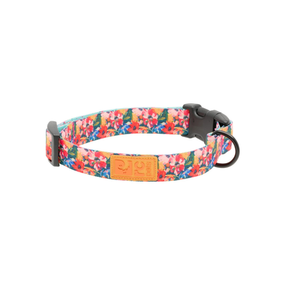 RC PETS | Collier Eco