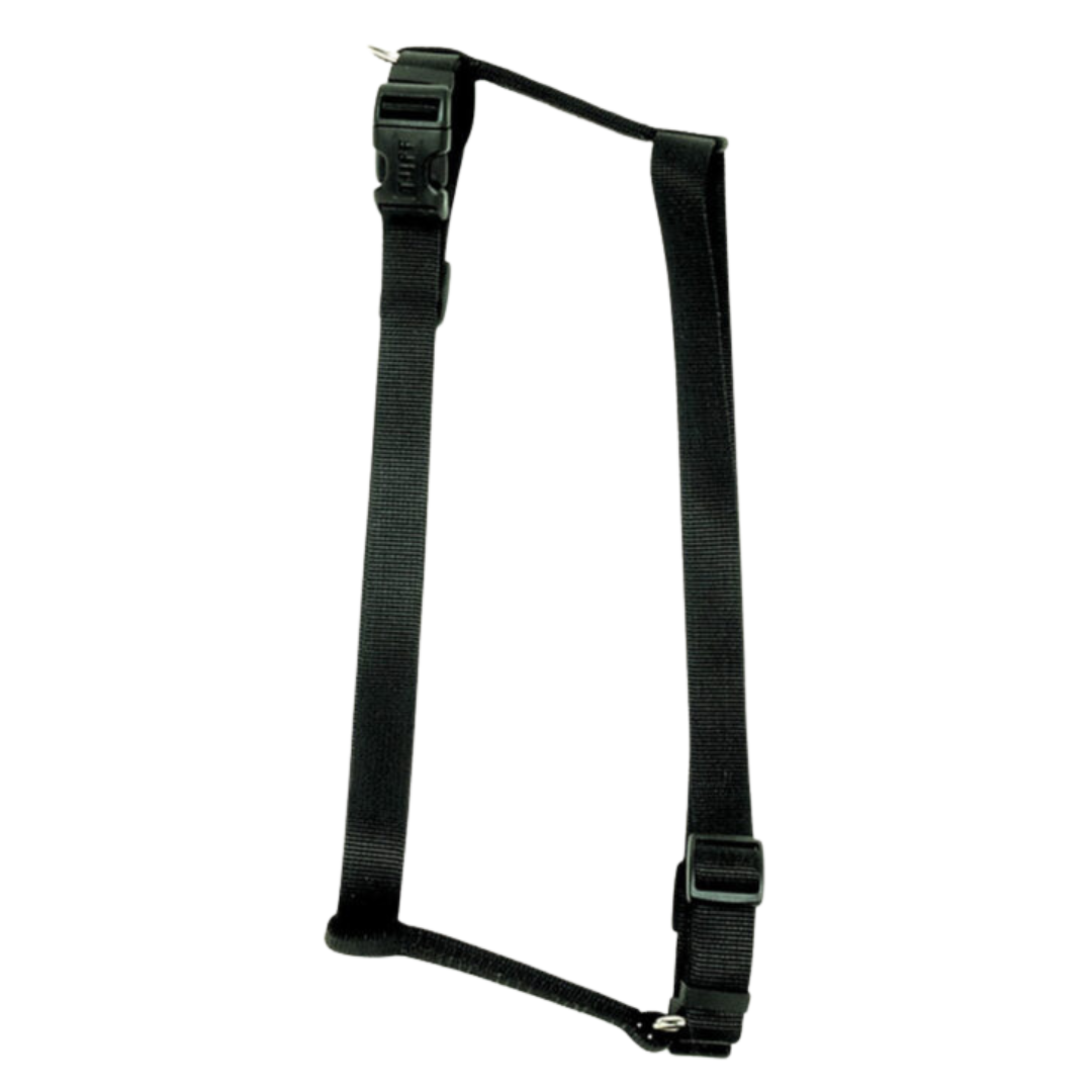 COASTAL | Harnais ajustable 10-18"