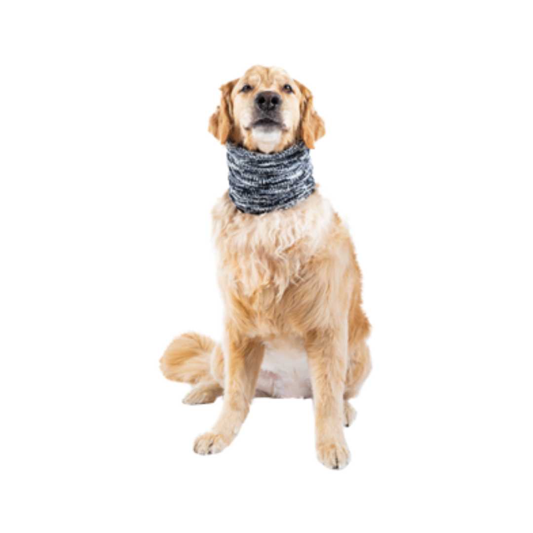 CANADA POOCH | Chenille snood gris L