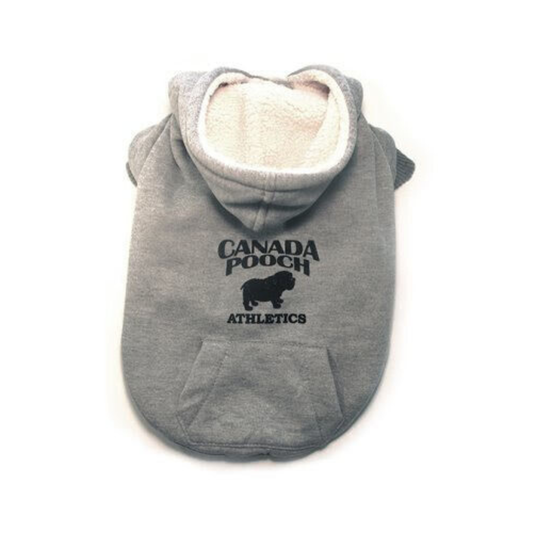 CANADA POOCH | Cozy caribou grey M