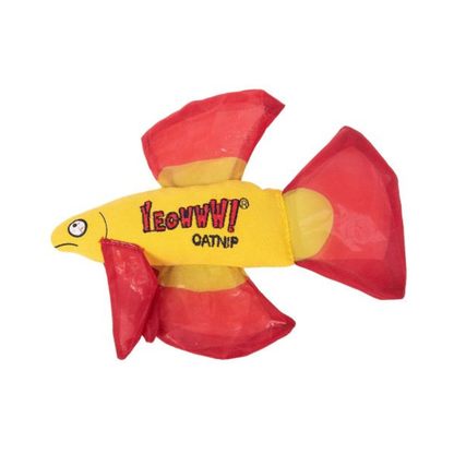 DUCKY WORLD | Poisson betta avec herbe à chat